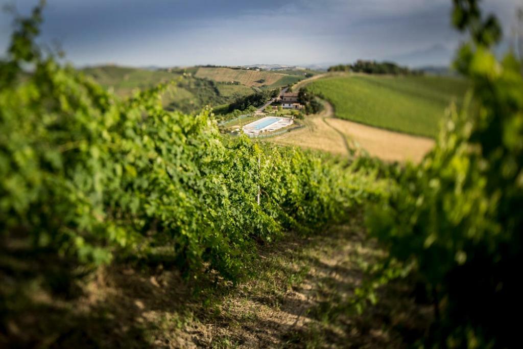 Casali Costadoro Acquaviva Picena Exteriér fotografie